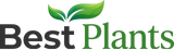 Best Plants Ae
