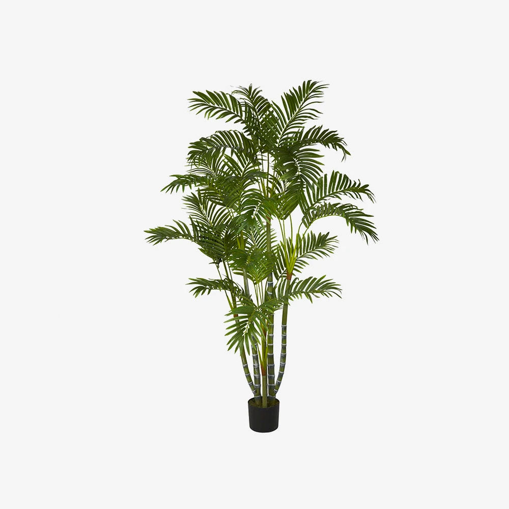 Chekra Crystal Healing