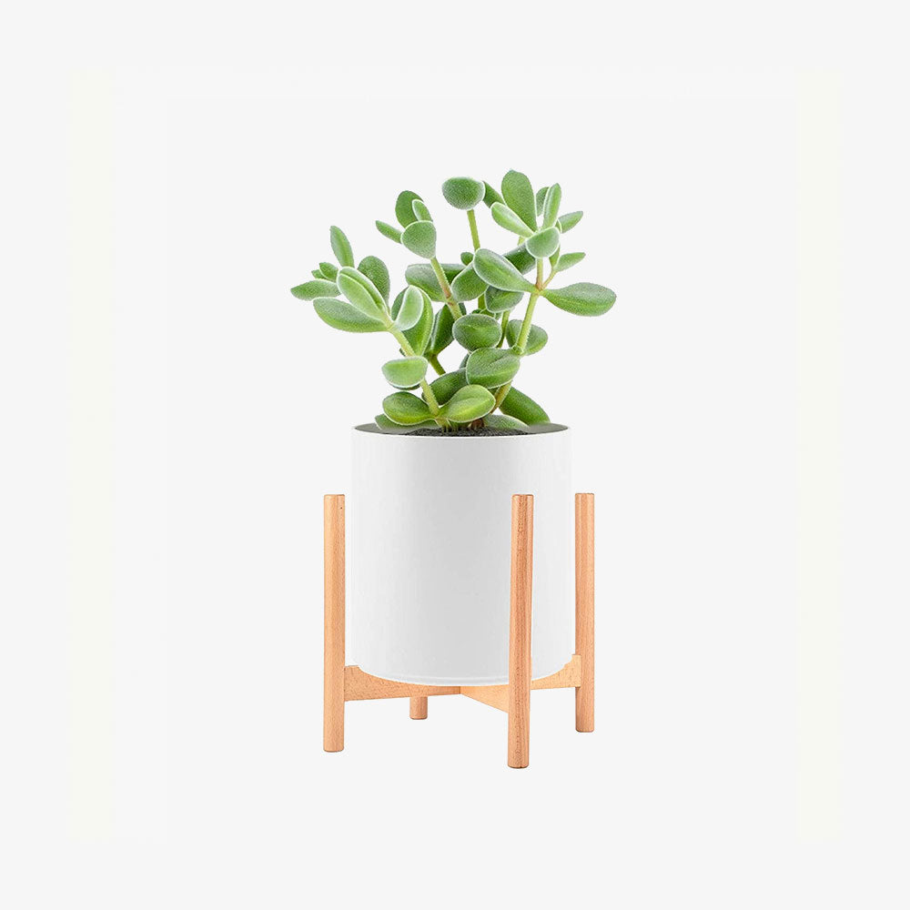 Plant Stand Indoor