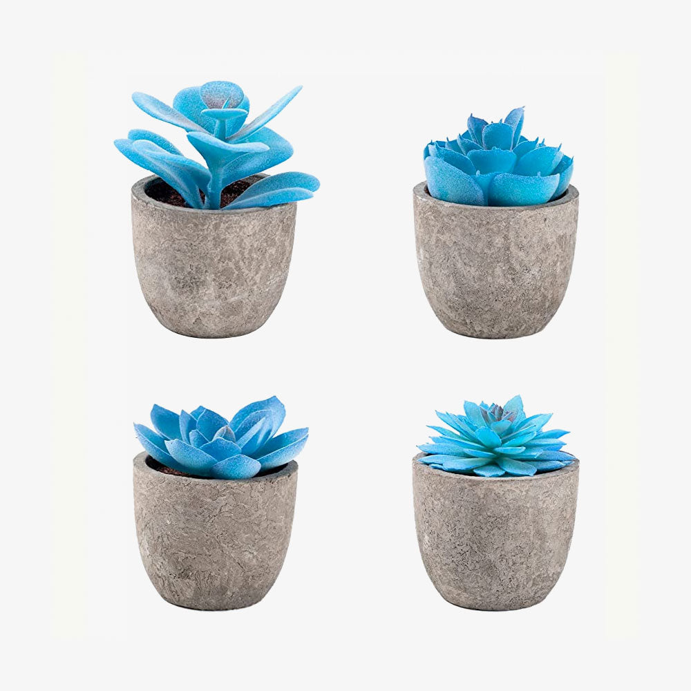 Artificial Succulent Plants