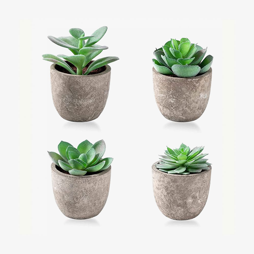 Artificial Succulent Plants