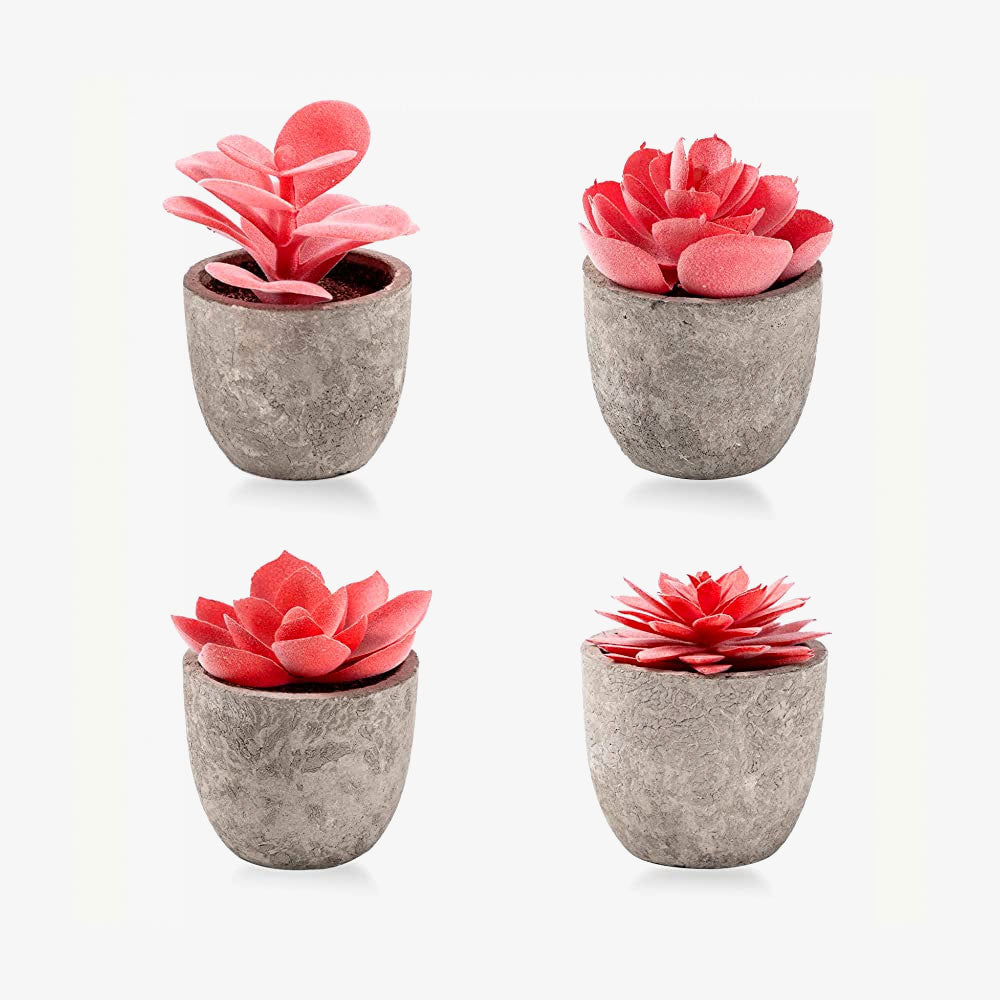 Artificial Succulent Plants