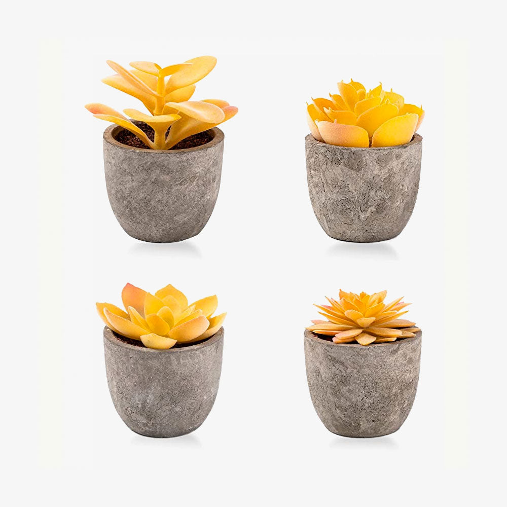 Artificial Succulent Plants