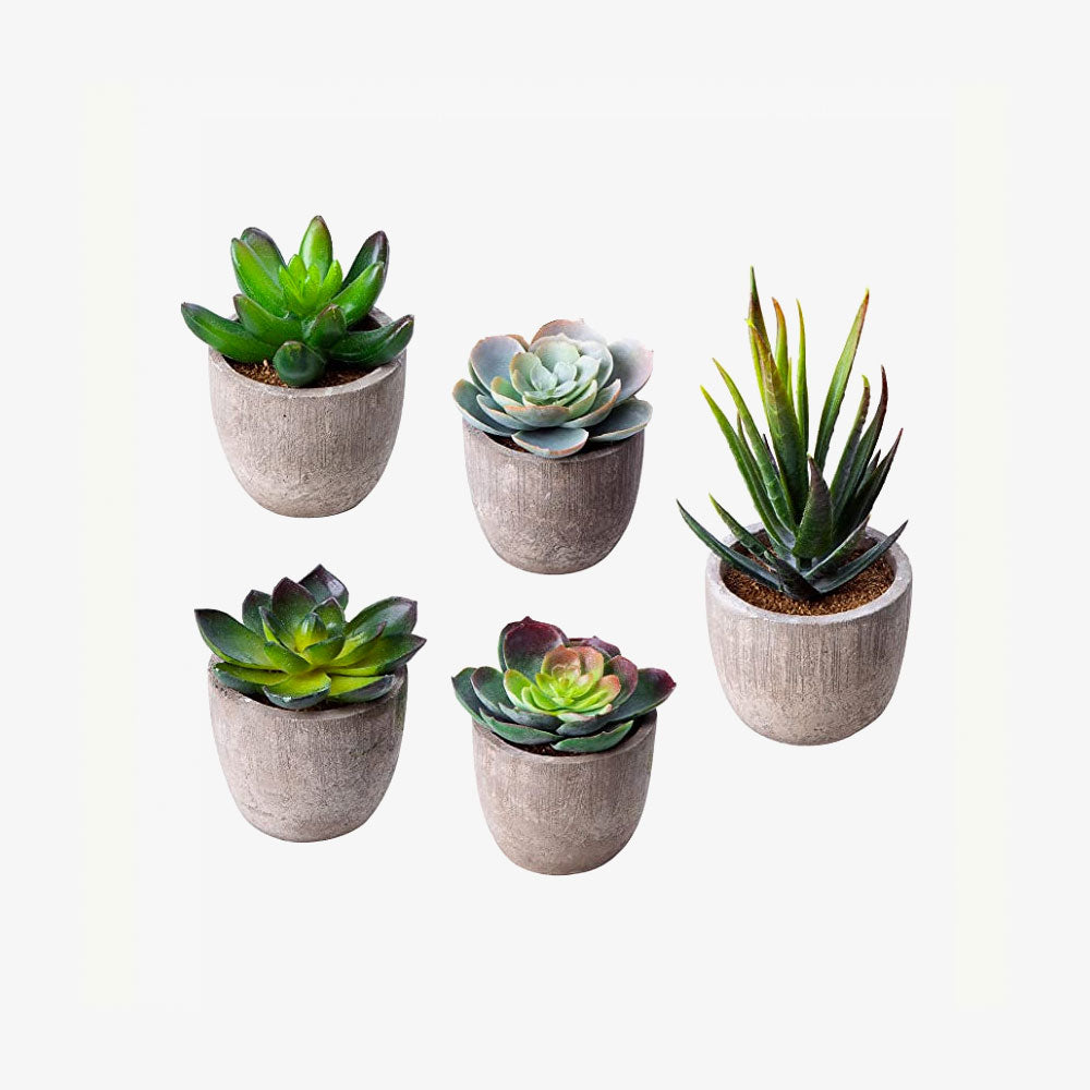 Artificial Succulent Plants