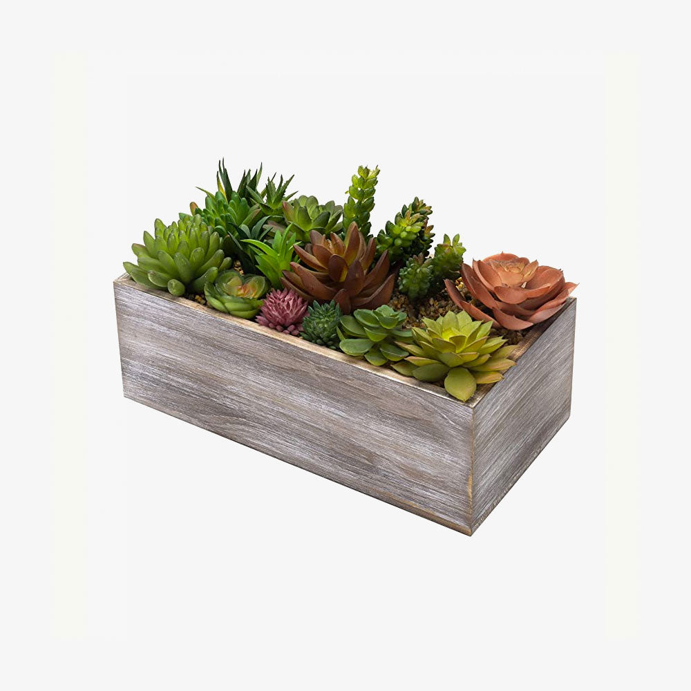 Artificial Mixed Succulent Plants