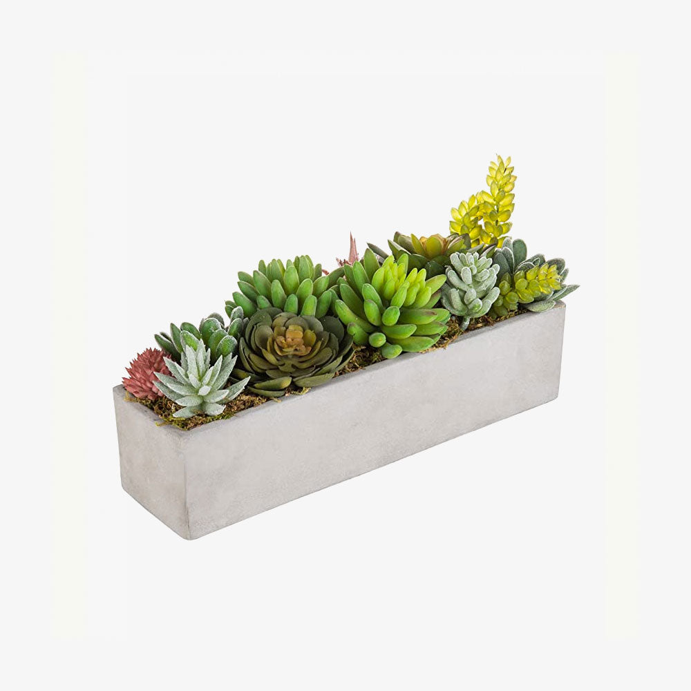 Artificial Mixed Succulent Plants