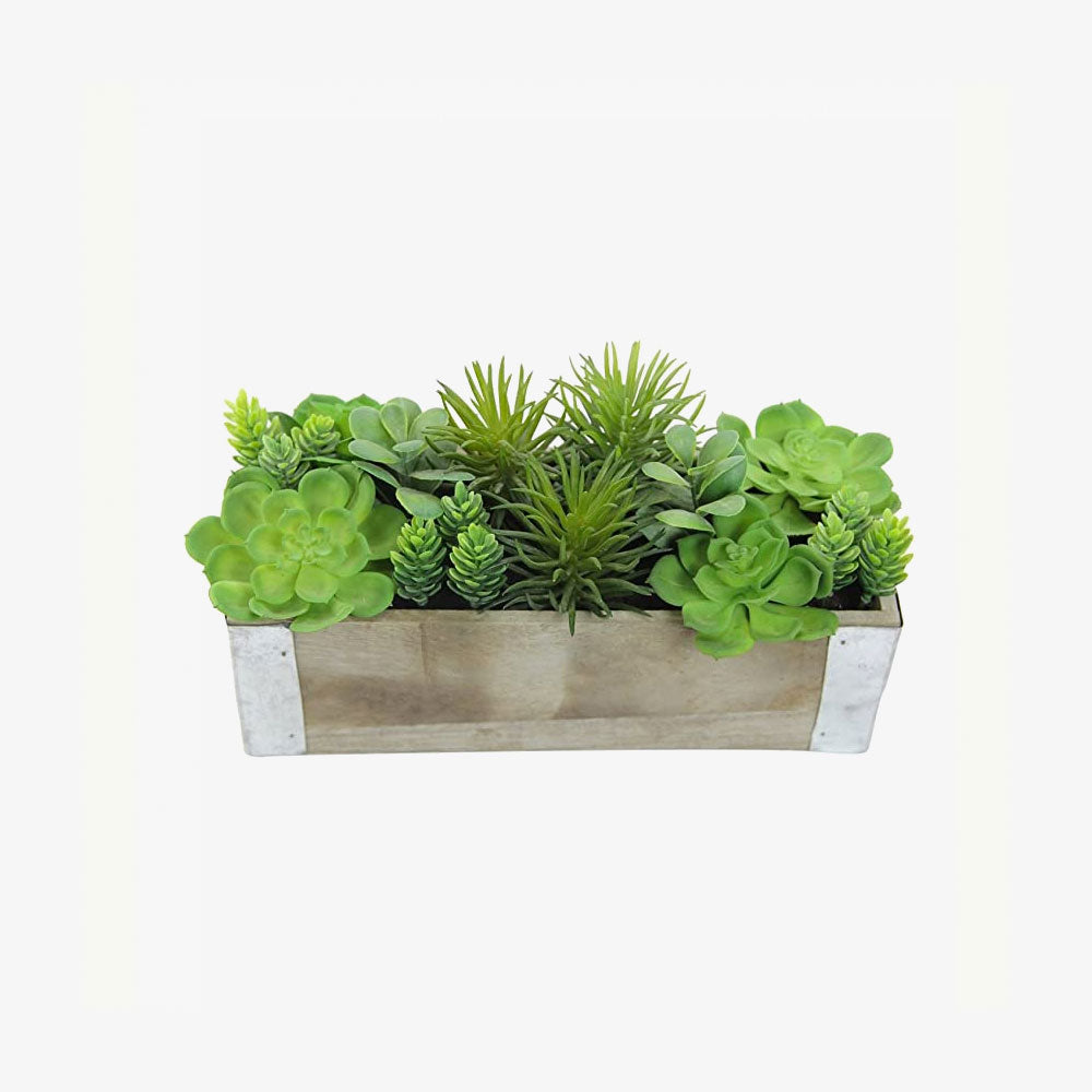 Artificial Mixed Succulent Plants