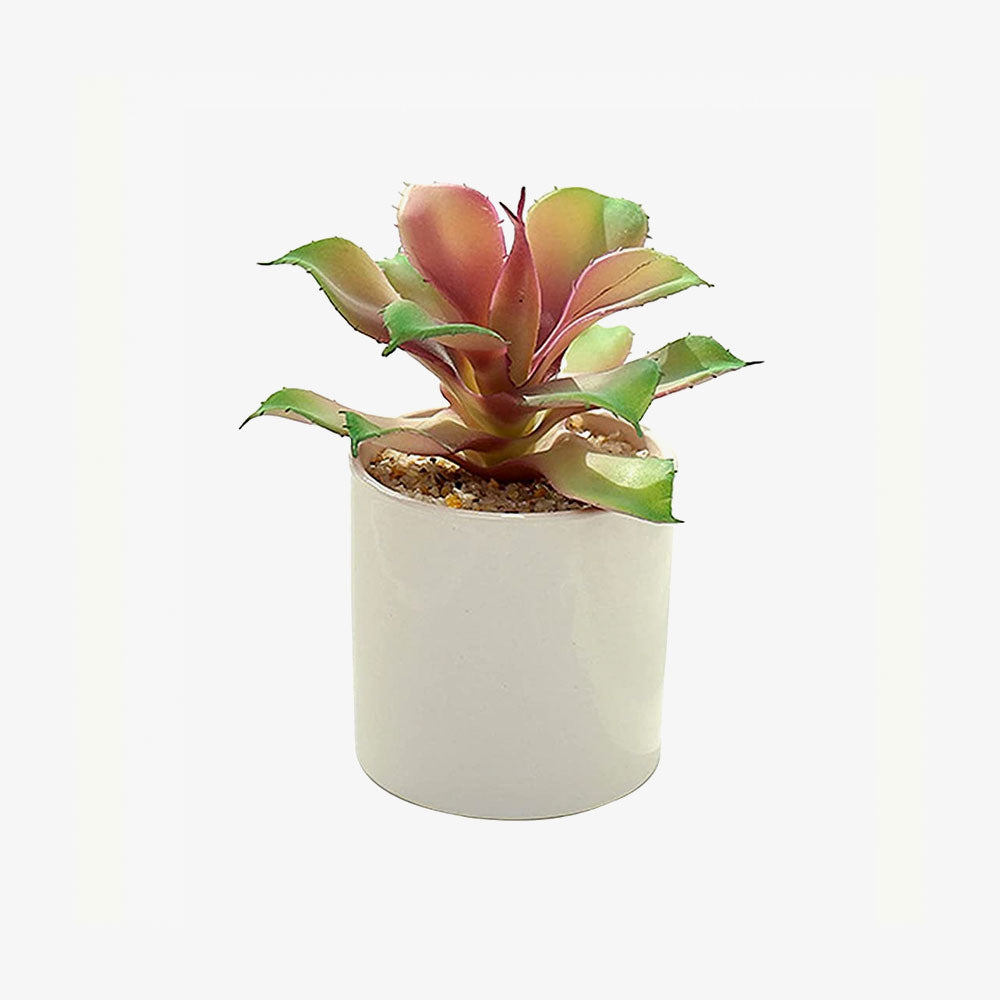 Artificial Succulents Realistic
