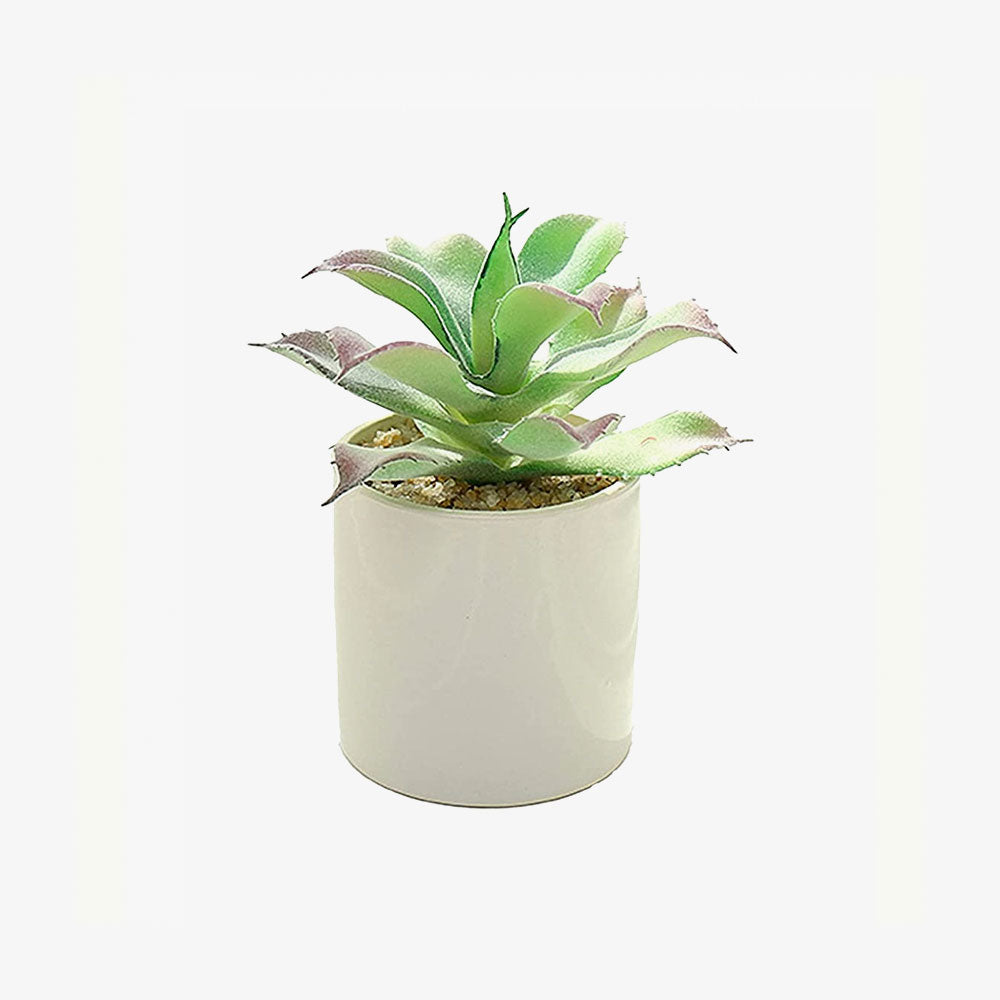 Artificial Succulents Realistic
