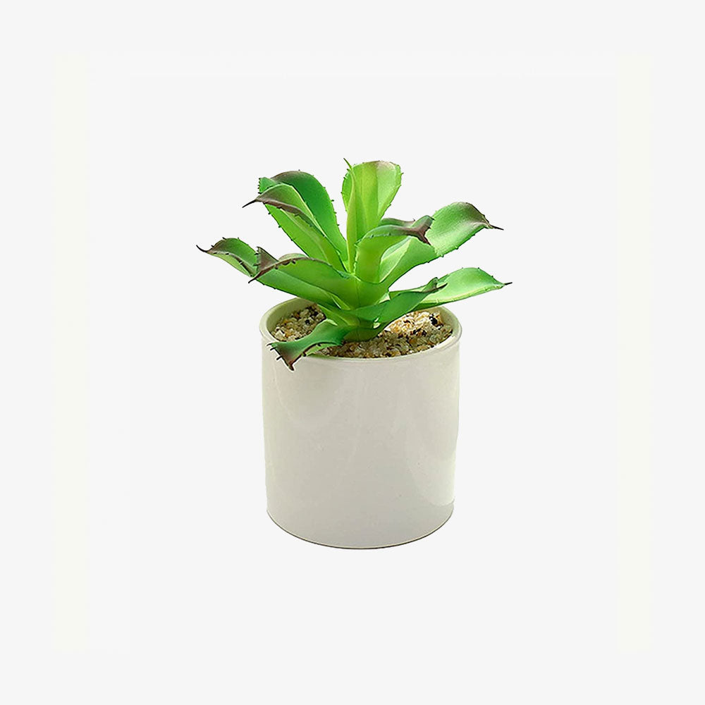 Artificial Succulents Realistic