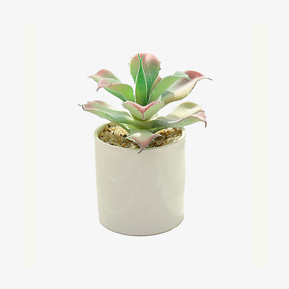 Artificial Succulents Realistic